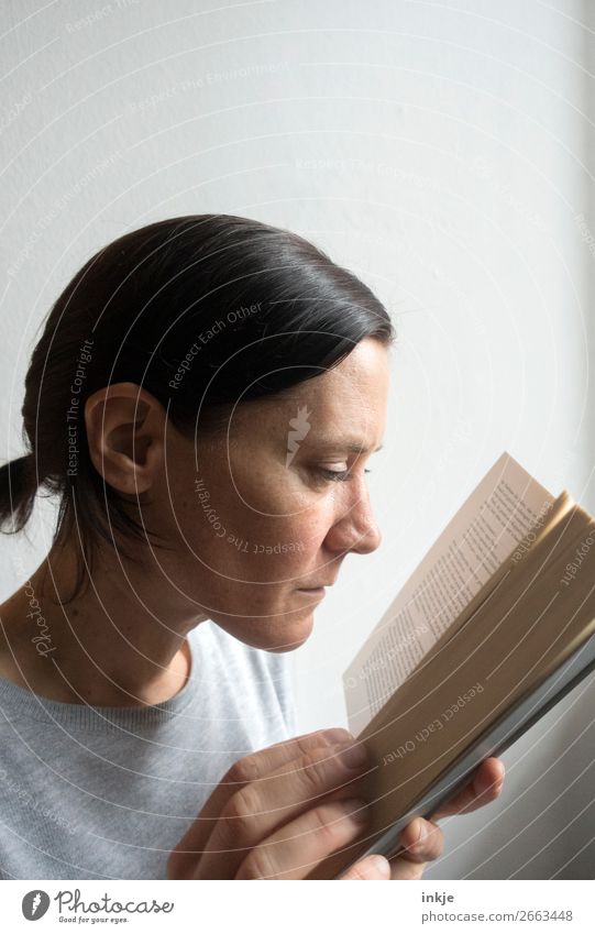 Lesen 8 Farbfoto grau Frau Erwachsene Zopf Pullover seriös lesen Buch schwer Bildung interessant Erwachsenenbildung lernen Profil Nahaufnahme festhalten