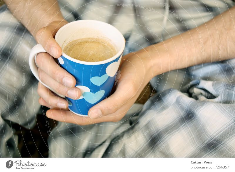 blue coffee maskulin Hand 1 Mensch festhalten trinken Flüssigkeit heiß nass blau Kaffee Tasse Porzellan Herz Behaarung Schlafanzug Morgen Getränk Heißgetränk