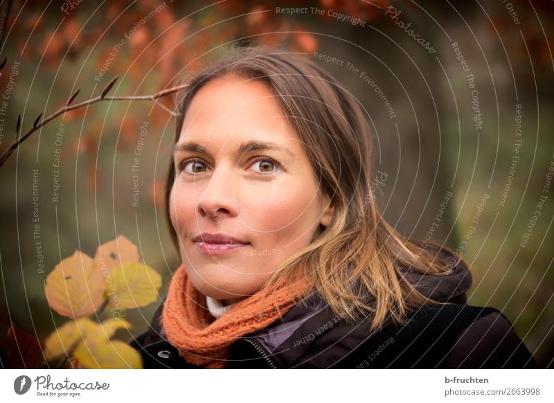 Frauenporträt im Herbst Erwachsene Gesicht 1 Mensch Baum Blatt Park Wald Mantel Schal brünett Blick Fröhlichkeit schön natürlich Sympathie Freizeit & Hobby