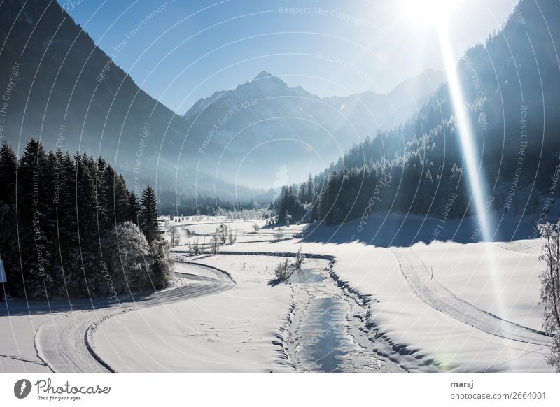 Tettermoor im Winter Ferien & Urlaub & Reisen Tourismus Ausflug Sonne Schnee Winterurlaub Natur Landschaft Schönes Wetter Eis Frost Alpen Schlucht Untertal Bach