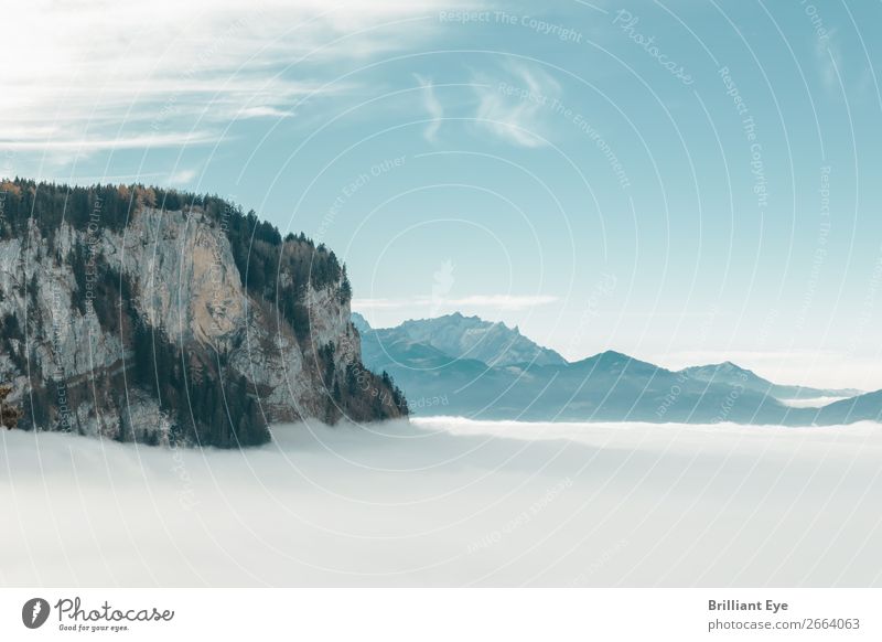 Der weisse Schleier Ferien & Urlaub & Reisen Ferne Winter Berge u. Gebirge Natur Landschaft Nebel außergewöhnlich gigantisch Unendlichkeit kuschlig weich weiß