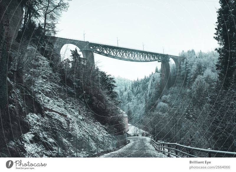 Brücke Ferien & Urlaub & Reisen Winter Natur Landschaft St. Gallen Schweiz gigantisch lang Europa Frost Schnee Tal Wege & Pfade Wald Außenaufnahme kalt Morgen