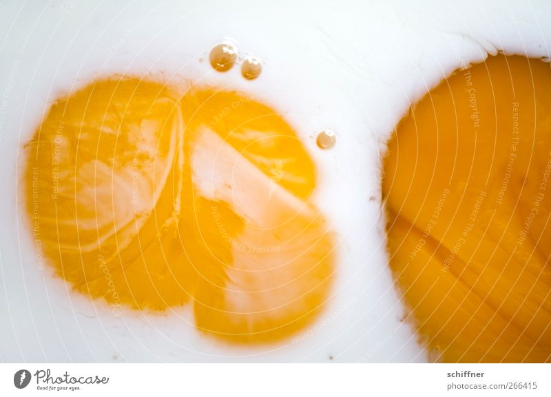 Strampelnde Eier Lebensmittel Ernährung gelb weiß Eigelb rund Hintergrundbild Strukturen & Formen Nahaufnahme Detailaufnahme Menschenleer Spiegelei