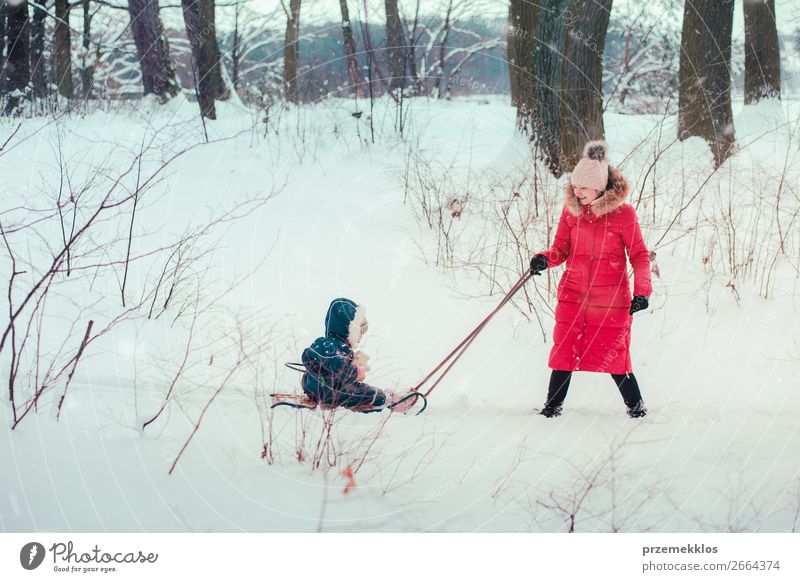 Frau zieht Schlitten mit ihrer kleinen Tochter an einem winterlichen Tag. Lifestyle Freude Glück Winter Schnee Winterurlaub Mensch Kind Baby Kleinkind Mädchen