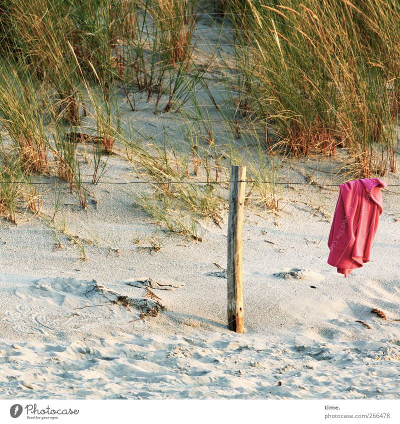 herrenloses Textil Umwelt Pflanze Schönes Wetter Strand Ostsee Stranddüne Dünengras hängen Tourismus Pfosten Drahtseil Textilien T-Shirt Hemd Farbfoto