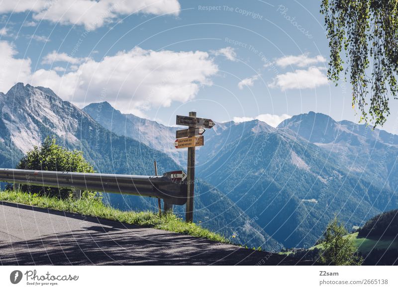 Wanderschilder auf dem E5 Fernwanderweg wandern Klettern Bergsteigen Natur Landschaft Schönes Wetter Alpen Berge u. Gebirge Straße Wege & Pfade Wegkreuzung hoch