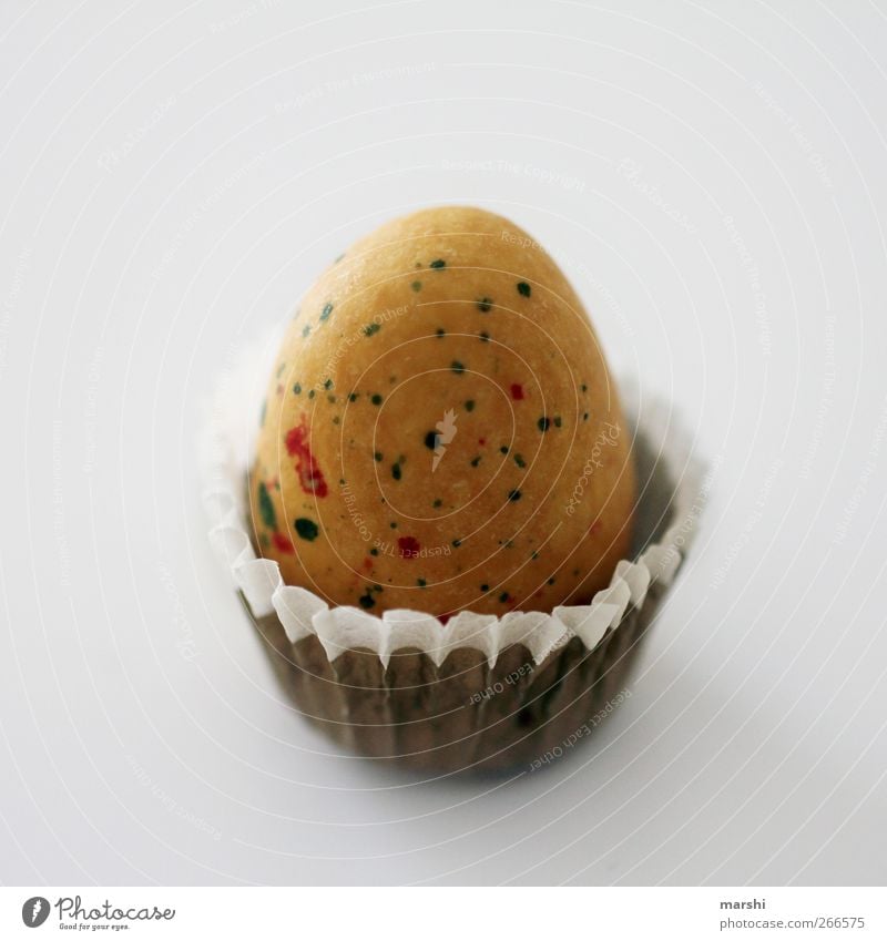 Frühstücksei Deluxe Lebensmittel Ernährung gelb weiß Ei Eierschale Praline Freisteller Vogeleier gesprenkelt lecker Protein Farbfoto Innenaufnahme