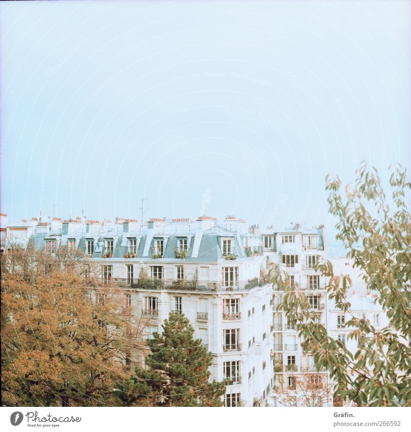 Über den Dächern von Paris Aussicht Himmel Wohngebiet Baum Fenster Architektur Farbfoto blau grün braun Ferne