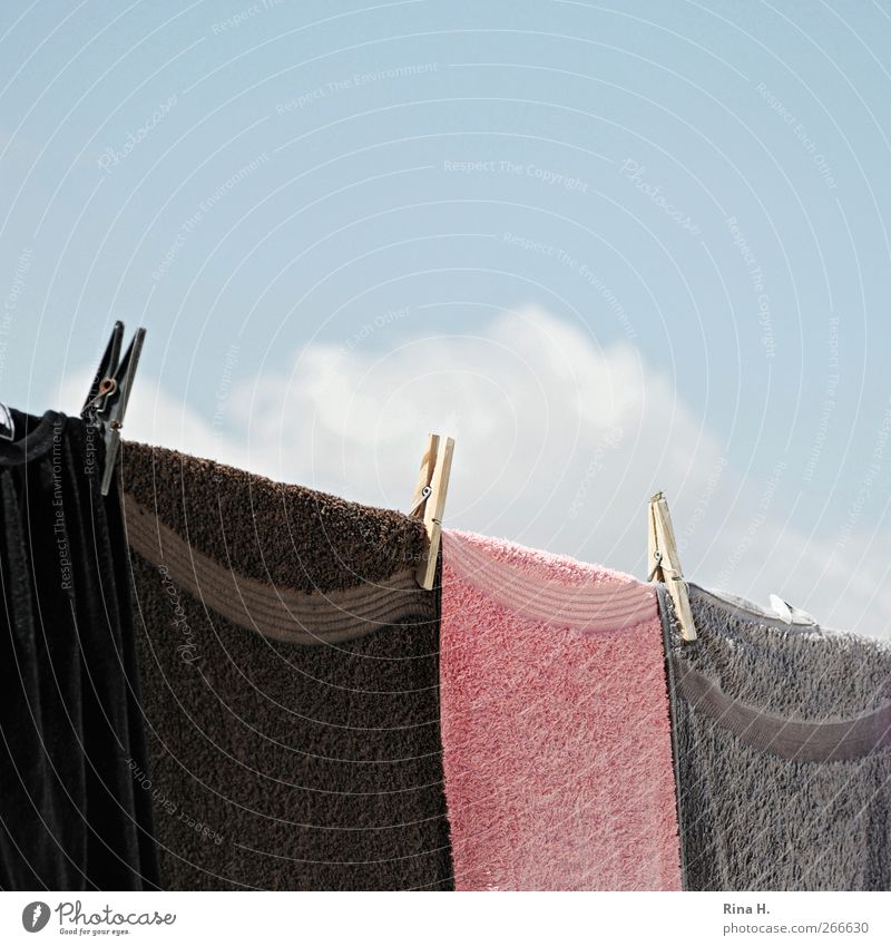 Wäsche und Wolke II Himmel Wolken Sommer Schönes Wetter hängen frisch Reinlichkeit Sauberkeit Wäscheleine Wäscheklammern Handtuch luftig Farbfoto Außenaufnahme