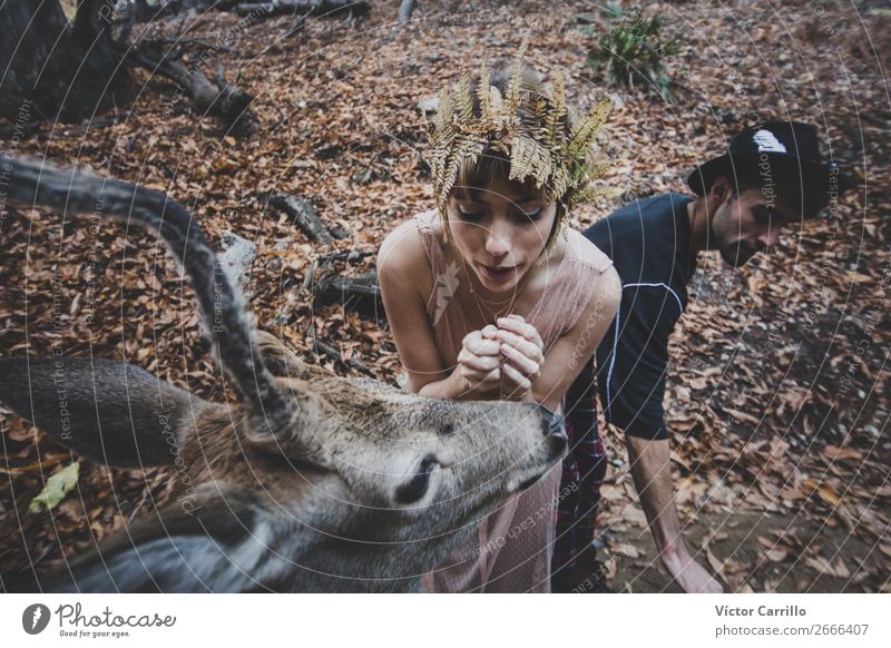 Ein junges Paar und ein Hirsch im Wald Lifestyle kaufen elegant Stil exotisch Freude schön Mensch maskulin feminin Junge Frau Jugendliche Junger Mann Erwachsene