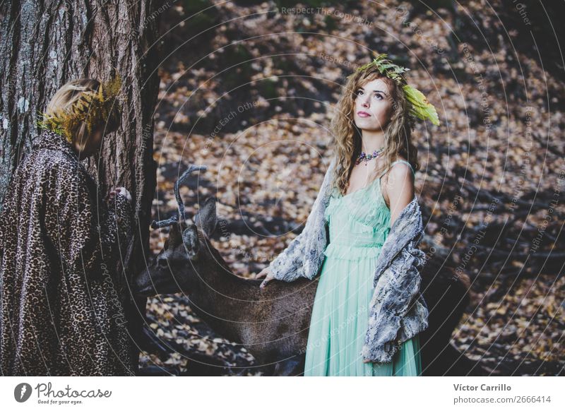 Zwei Mädchen und ein Hirsch im Wald. Lifestyle elegant Stil Freude Mensch feminin Junge Frau Jugendliche Erwachsene Freundschaft Gesicht Umwelt Natur Landschaft