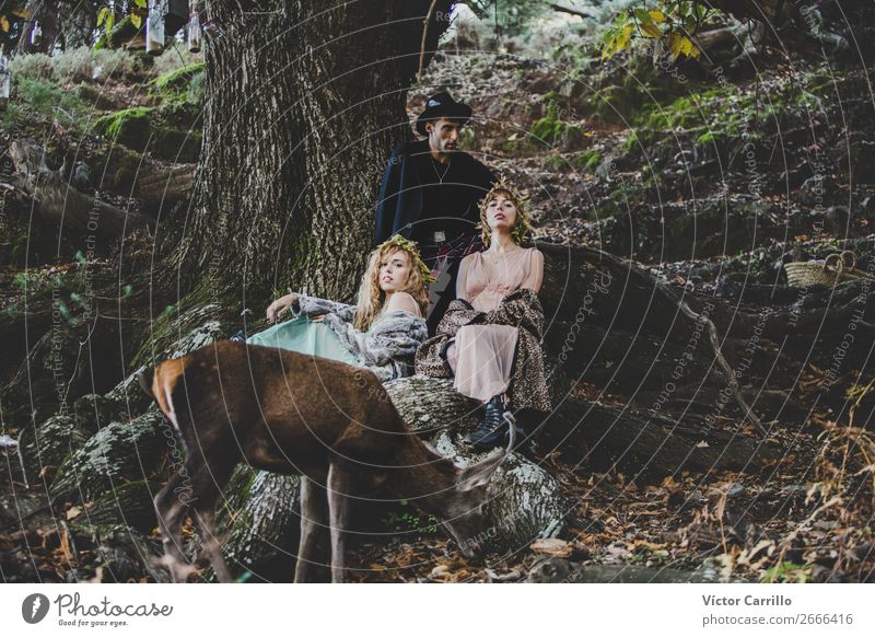 Zwei Mädchen, ein Junge und ein Hirsch im Wald. Lifestyle elegant Design exotisch Mensch maskulin feminin 3 18-30 Jahre Jugendliche Erwachsene Umwelt Natur