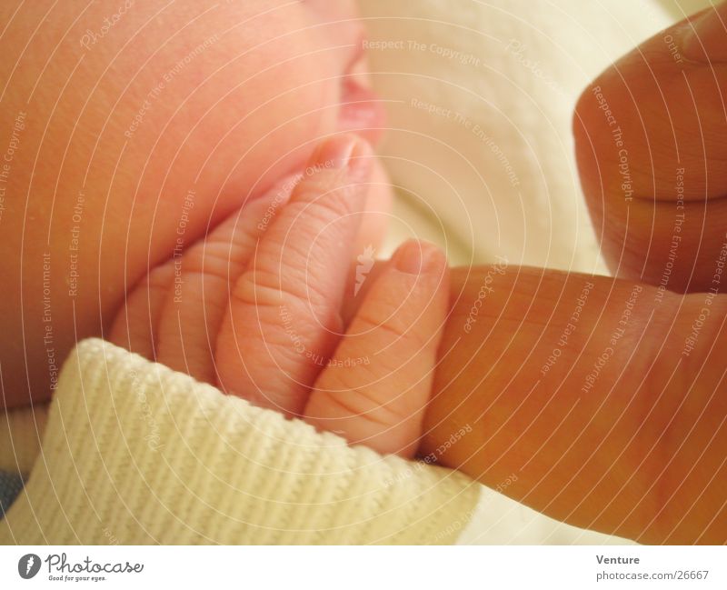 Kontakt (2) Baby Kind neugeboren Vertrauen berühren Finger festhalten Hand Mensch fangen Haut nah Nahaufnahme