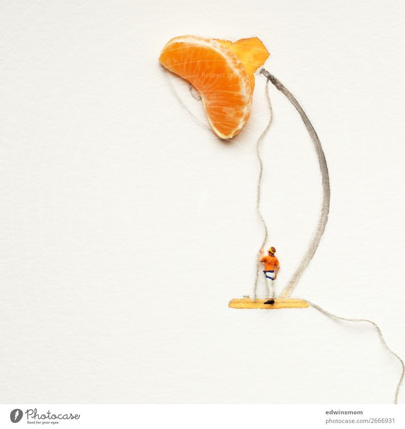 Be creative Frucht Mandarine Freizeit & Hobby Spielen Basteln Lampe maskulin Mann Erwachsene 1 Mensch Papier Dekoration & Verzierung Nähgarn gebrauchen leuchten
