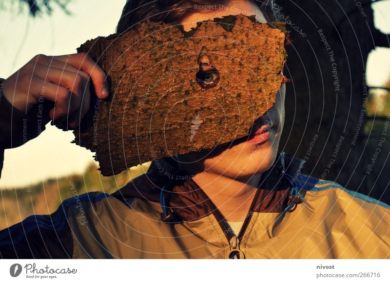 Astlochdurchblick Mensch maskulin Junger Mann Jugendliche Erwachsene Auge 1 18-30 Jahre Natur Baum Schutzbekleidung Maske kurzhaarig Holz einzigartig Scham