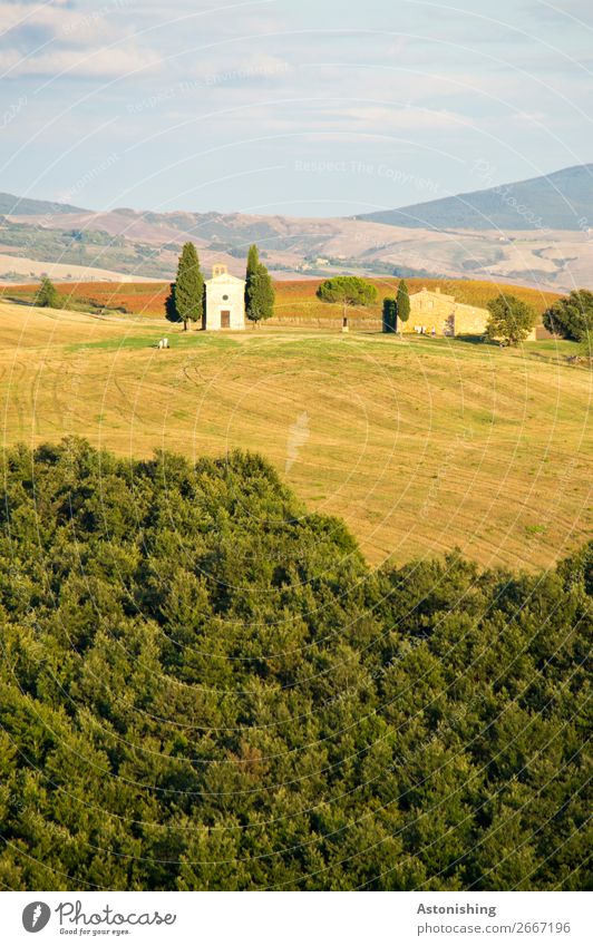 Kapelle in der Ferne II Umwelt Natur Landschaft Himmel Wolken Horizont Sommer Wetter Pflanze Baum Gras Feld Wald Hügel Siena Toskana Italien Haus Kirche Bauwerk