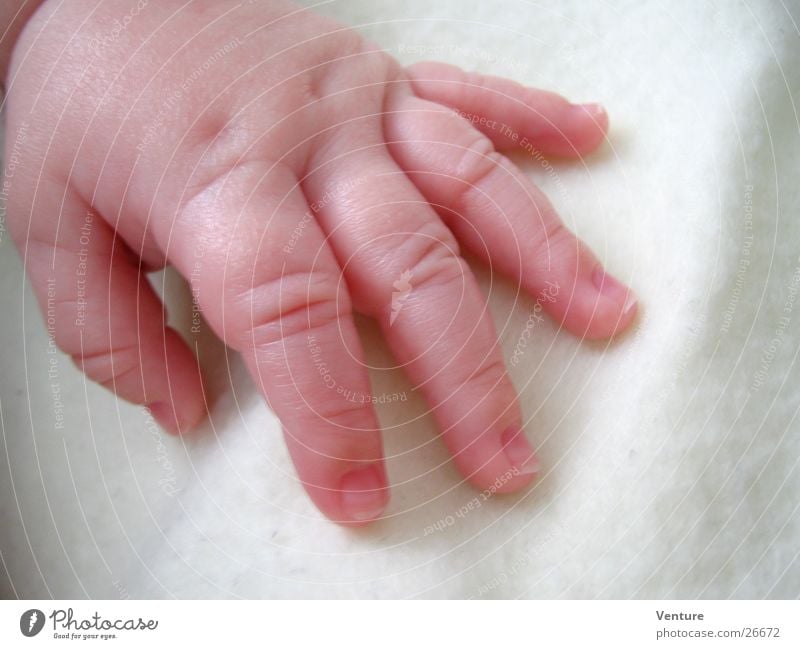 Hand drauf Finger 5 klein Baby berühren Mensch Haut Kind Makroaufnahme Nahaufnahme Detailaufnahme