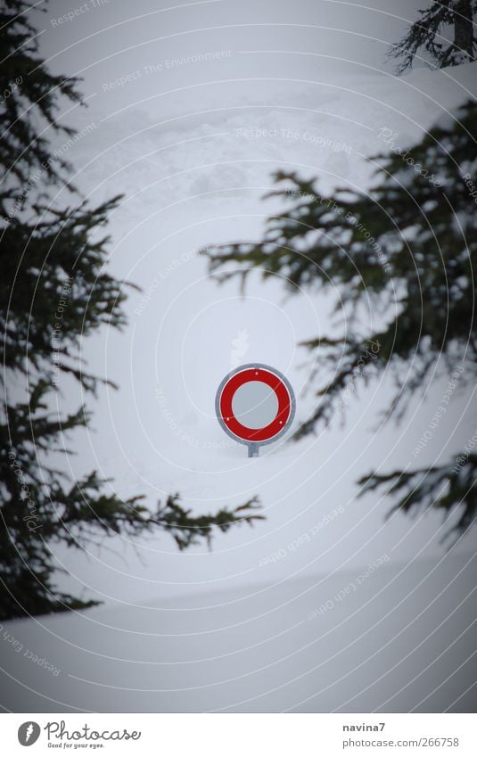 Wegweiser Landschaft Winter Schnee Schilder & Markierungen Verkehrszeichen rot Ende kalt eingeschlossen Farbfoto Außenaufnahme Menschenleer Textfreiraum unten