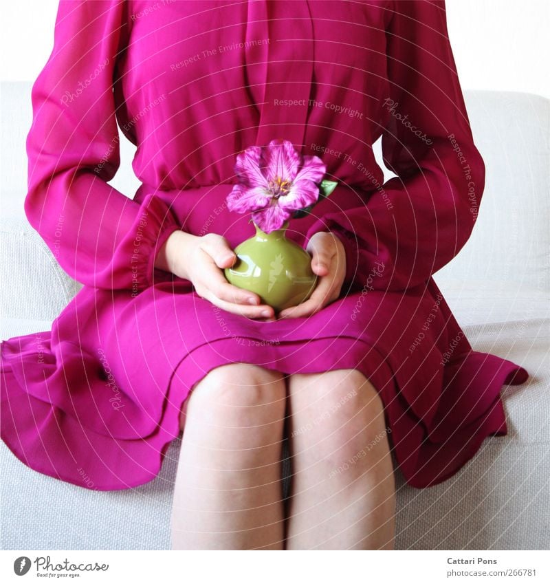 All They Want Stil feminin Körper 1 Mensch Pflanze Blüte exotisch Kleid Stoff festhalten sitzen schön einzigartig natürlich dünn weich violett rosa Blume