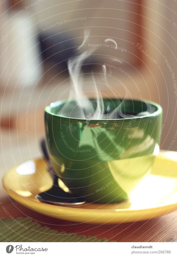 Mal richtig Dampf machen! Frühstück Kaffeetrinken Getränk Heißgetränk Geschirr Teller Tasse Löffel genießen frisch heiß gelb grün Wasserdampf Duft Pause