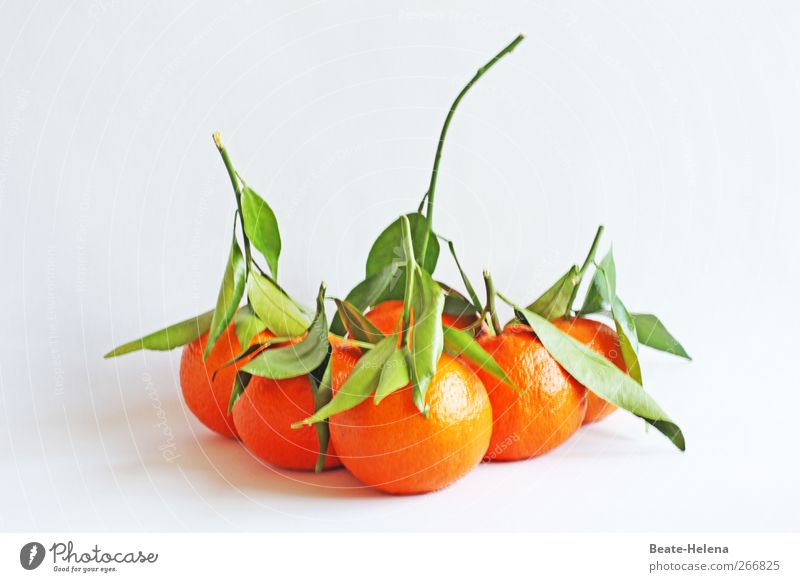 Orangement Lebensmittel Frucht Gesundheit Gesunde Ernährung Pflanze Nutzpflanze Mandarine Südfrüchte Diät füttern genießen Erotik frisch gelb Lebensfreude Glück