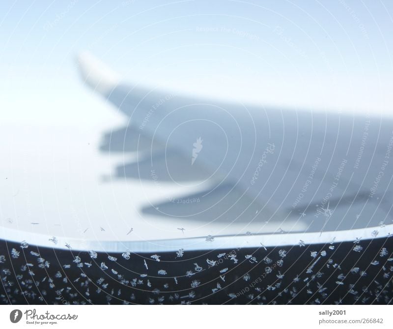 36000 ft, - 45° C Ferne Freiheit Luftverkehr Eis Frost Verkehrsmittel Flugzeug Passagierflugzeug im Flugzeug Flugzeugausblick Tragfläche Flugzeugfenster