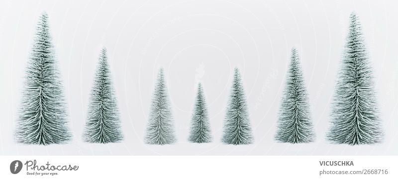 Weihnachtsbäume auf weißem Hintergrund. Banner Weihnachten bаum auf Weiß Transparente Tanne Winter