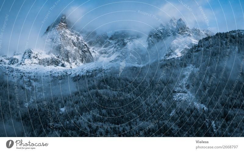 Chamonix Schnee Berge u. Gebirge Wolken Alpen Gipfel kalt Frankreich Bergkamm Bergkette Arve Farbfoto Silhouette