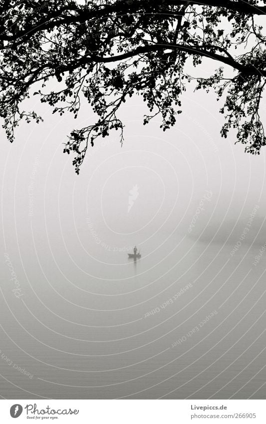 einsamer Angler Mensch 1 Natur Landschaft Herbst Nebel Pflanze Baum grau schwarz weiß Nebelstimmung Schwarzweißfoto Außenaufnahme Tag See Angeln