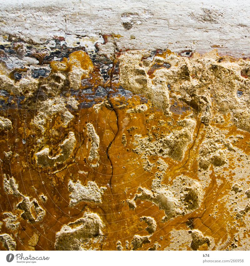 fresco di birra Mauer Wand gelb Erosion Detailaufnahme Hintergrundbild Luftaufnahme Farbfoto Außenaufnahme Strukturen & Formen Menschenleer Textfreiraum unten