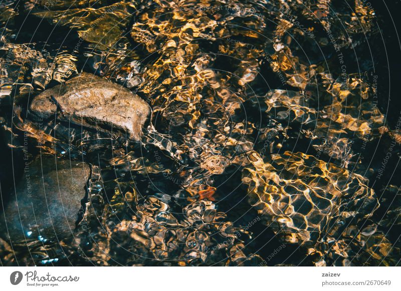 Lichtreflexionen im Wasser eines Flusses mit einigen Felsen unter Wasser. schön Windstille Tapete Natur Herbst Wärme Bach Stein Flüssigkeit nass natürlich