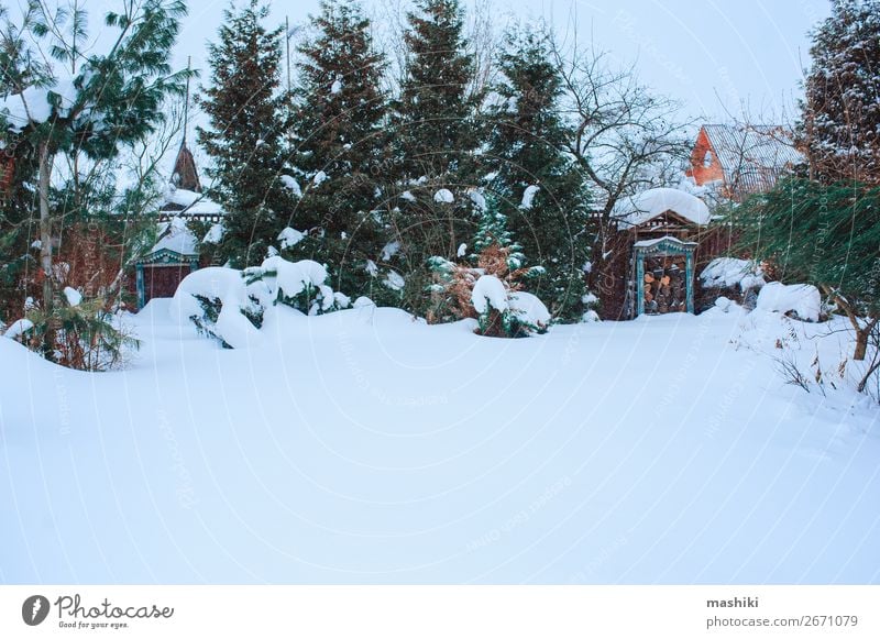 winterlich verschneiter Gartenblick mit Koniferen schön Winter Schnee Gartenarbeit Natur Landschaft Pflanze Wetter Schneefall Baum Holz kalt weiß Tradition