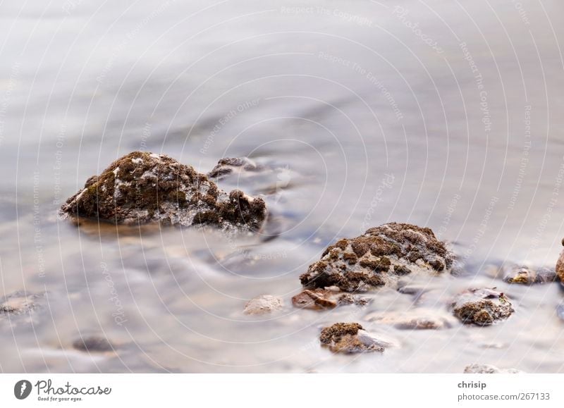 Steine imWassernebel Umwelt Natur Moos Wellen Flussufer Bach Flüssigkeit frisch kalt Erfrischung Quelle Trinkwasser natürlich fließen Farbfoto Außenaufnahme