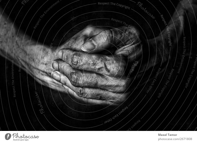 Die Hände der Frau betend schön Haut Mensch Erwachsene Arme Hand Finger alt dunkel natürlich stark schwarz Kraft Religion & Glaube Aktion Hintergrund Kaukasier