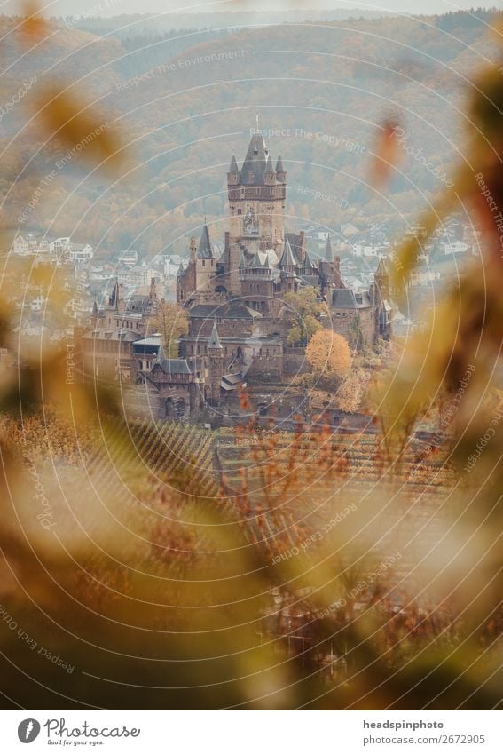 Reichsburg in Cochem im Herbst Natur Baum Blatt Wald Deutschland Burg oder Schloss Sehenswürdigkeit Wahrzeichen Denkmal Bekanntheit historisch braun gold
