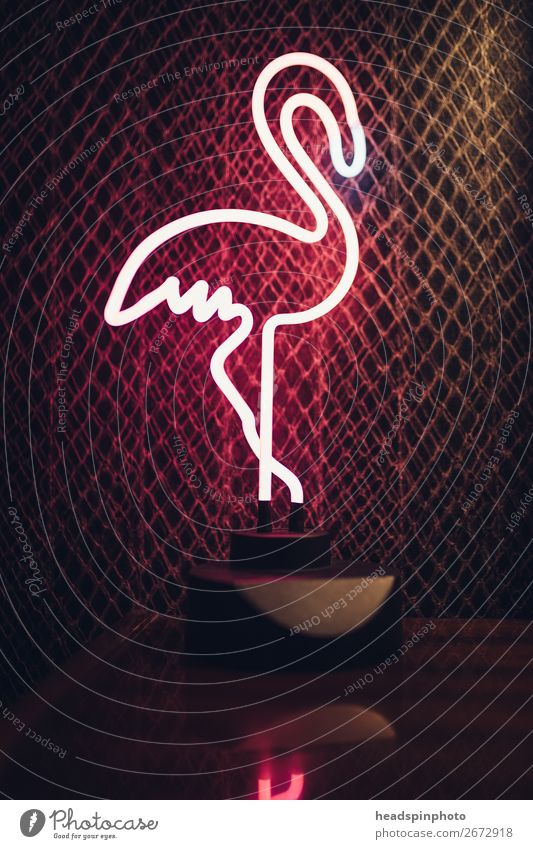 Rosa Neonlampe in Form eines Flamingo vor dunklem Hintergrund Lifestyle Nachtleben Lounge Tier Vogel 1 rosa Freude Stimmung Ferien & Urlaub & Reisen