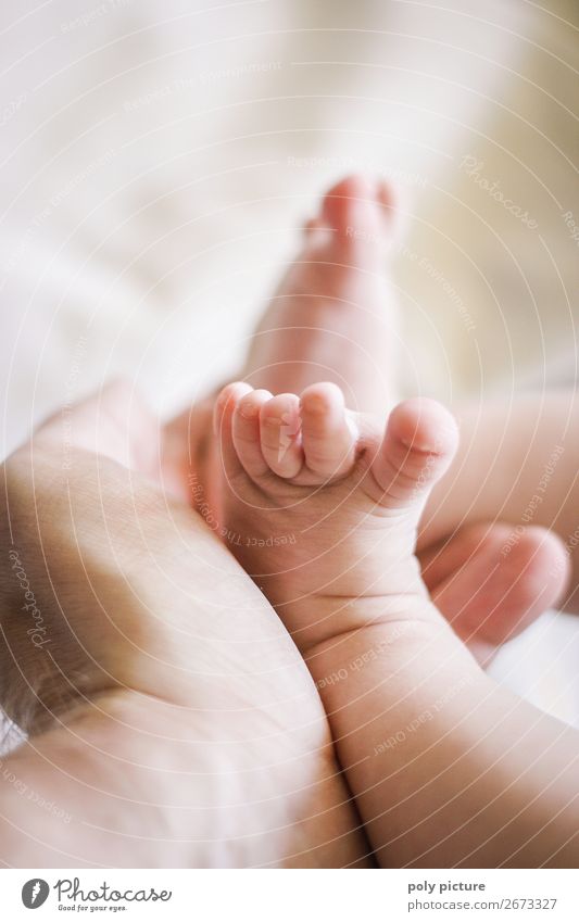 Baby Füßchen werden vom Vati gehalten Gesundheit Wellness Leben harmonisch Wohlgefühl Zufriedenheit Sinnesorgane Erholung ruhig Kind Vater Erwachsene