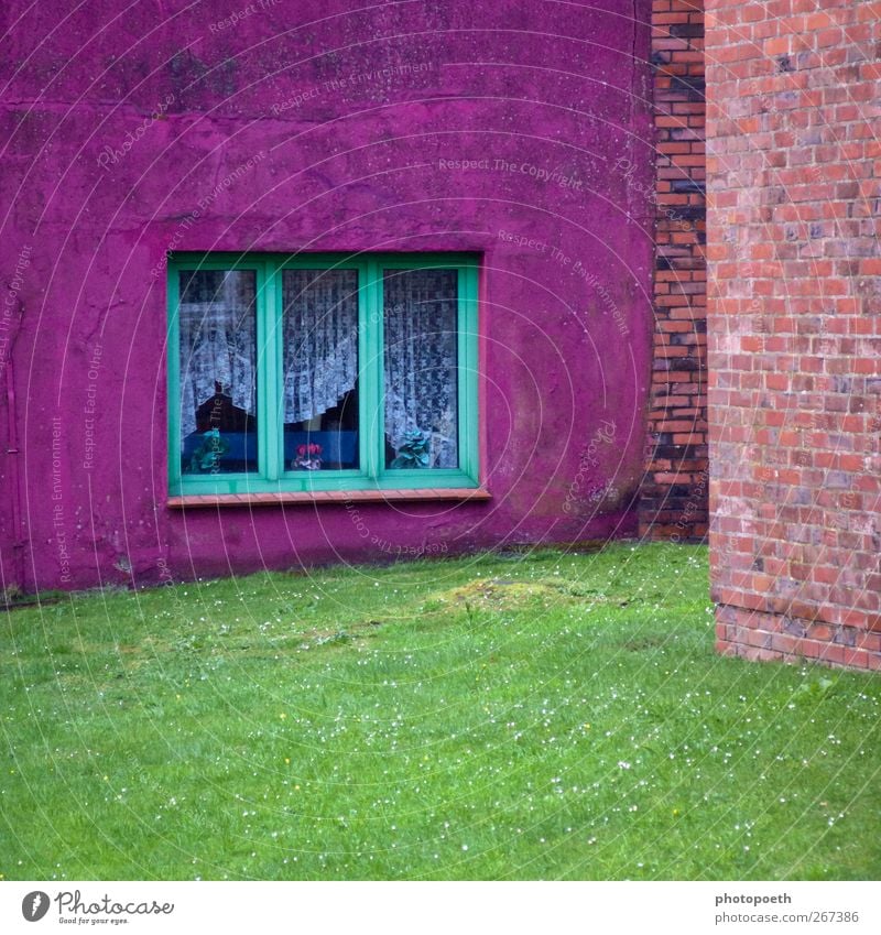 Farbecke Haus Garten Fenster Stein mehrfarbig grün violett rosa Blumenvase Gardine Sportrasen Mauer Backsteinwand orange zyan Wiese Farbfoto Außenaufnahme