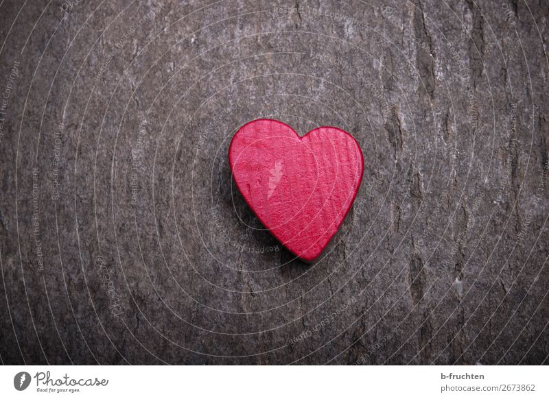 Herzchen Freude Basteln Holz Zeichen wählen beobachten entdecken warten natürlich rot Freundschaft Liebe Verliebtheit Romantik Kreativität Leidenschaft