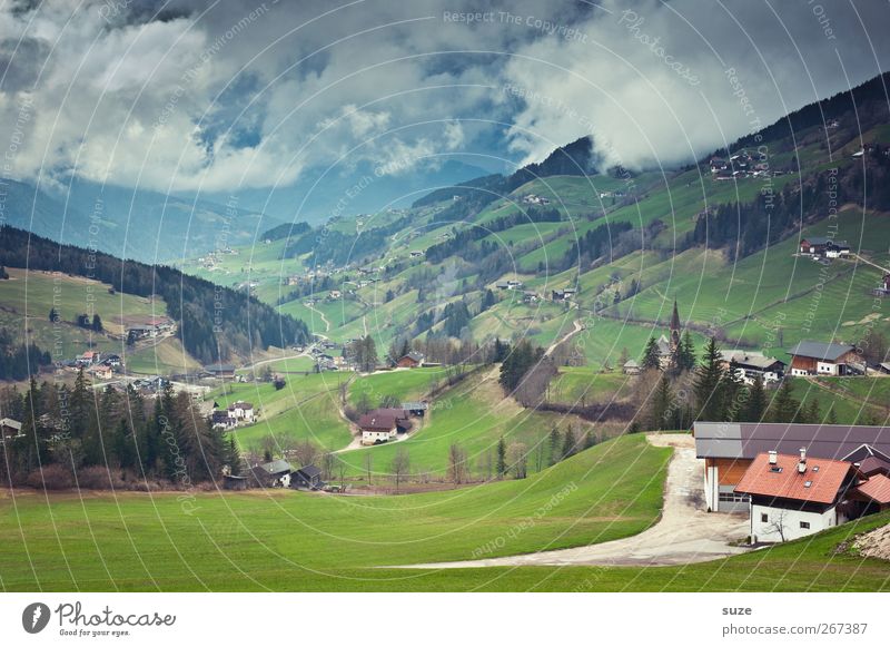 Überblickung Ferne Sommer Berge u. Gebirge Haus Umwelt Natur Landschaft Urelemente Himmel Wolken Klima Schönes Wetter Baum Wiese Alpen Dorf außergewöhnlich grün