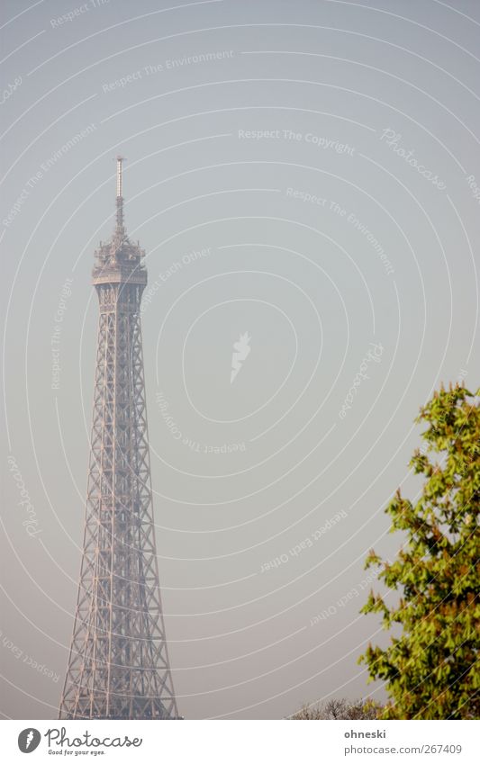 Turm Baum Paris Sehenswürdigkeit Wahrzeichen Tour d'Eiffel blau Farbfoto Gedeckte Farben Außenaufnahme Menschenleer Textfreiraum rechts Textfreiraum oben Morgen