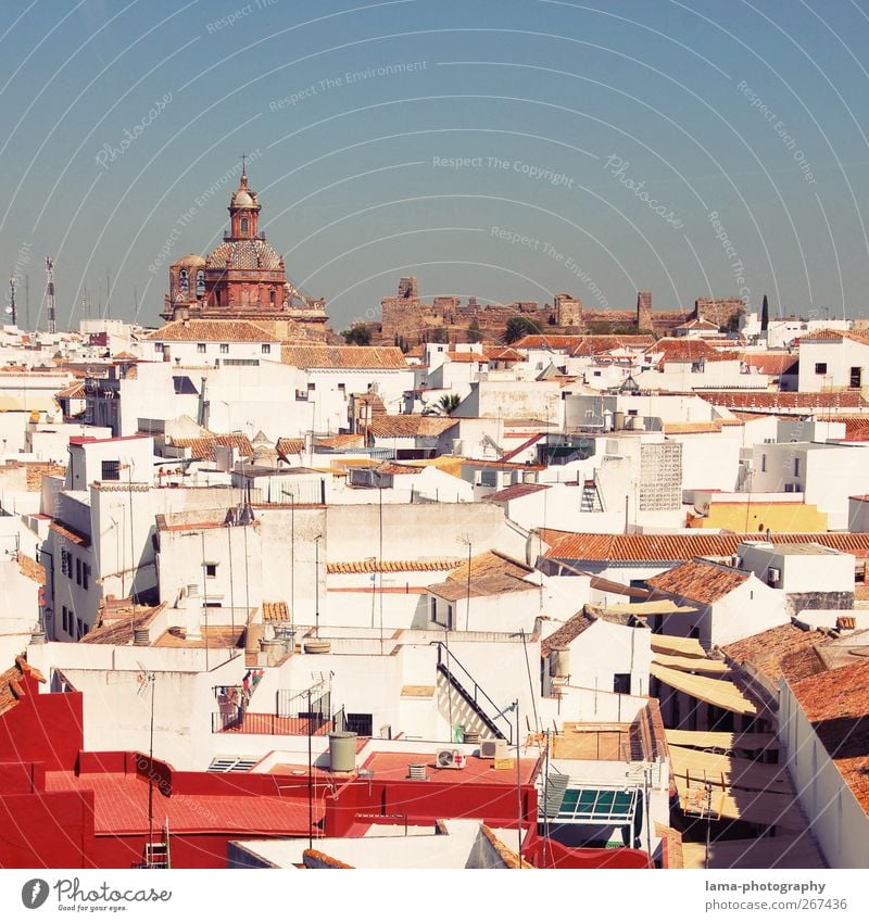 Carmona [XLI] Sightseeing Andalusien Spanien Dorf Kleinstadt Stadt Haus Kirche Dach Antenne weiß Aussicht Aussichtsturm Vogelperspektive Überblick Farbfoto