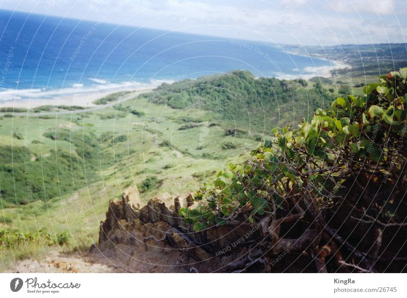 Barbados 1 grün Meer Südamerika Pflanze Felsen Stein blau Aussicht Tal