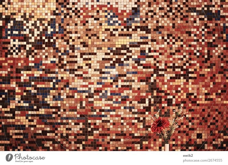 Suchbild Innenarchitektur Dekoration & Verzierung Mensa Speisesaal Kunst Kunstwerk Blume Wand Mosaik retro verrückt wild braun mehrfarbig orange rosa rot