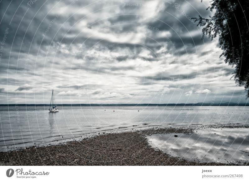 Das Boot Natur Wasser Himmel Wolken Horizont Sommer Herbst schlechtes Wetter Gewitter Seeufer Jacht Segelboot blau grau schwarz weiß ruhig Einsamkeit Idylle