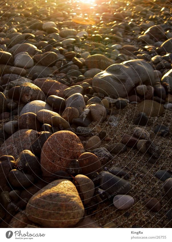 Stein auf Stein Kieselsteine Strand Sonnenuntergang Gegenlicht Sand Abend Ostsee