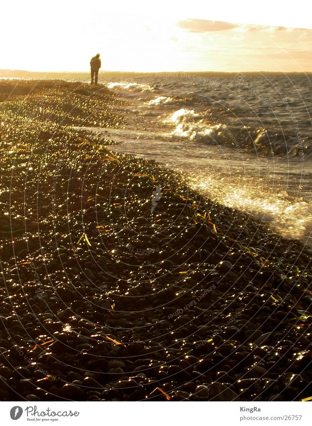 Strandspaziergang Kieselsteine Wellen Sonnenuntergang Gegenlicht Spaziergang Einsamkeit Wolken Brandung wandern Stein Sand Abend Ostsee Wasser Seetank Mensch