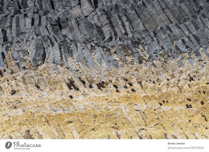 Basaltsäulen Ferien & Urlaub & Reisen Insel Umwelt Natur Landschaft Urelemente Erde Felsen Stein natürlich gelb grau Willensstärke Macht Design Großbritannien
