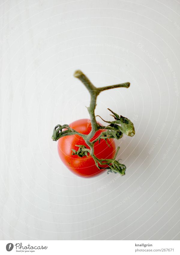 Von oben betrachtet Lebensmittel Gemüse Ernährung Bioprodukte Vegetarische Ernährung Diät Gesundheit lecker natürlich rund saftig grün rot weiß Gefühle Stimmung