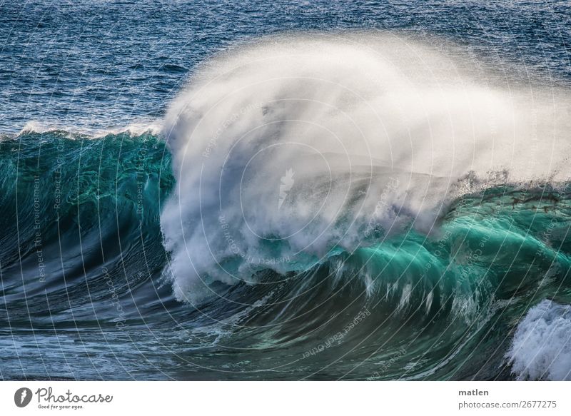 Mittelwelle Natur Urelemente Wasser Wellen Meer gigantisch blau grün türkis weiß Gischt brechen Farbfoto Außenaufnahme Textfreiraum links Textfreiraum rechts